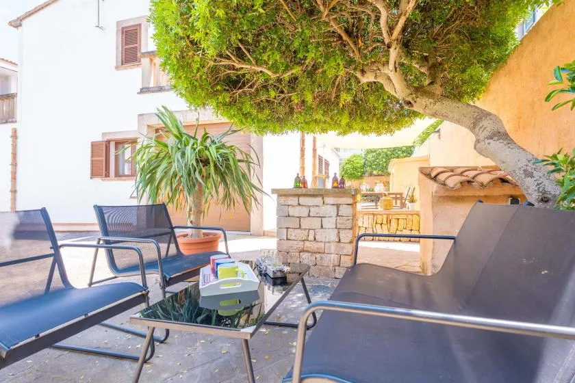 An outdoor patio with seating beneath a large leafy tree.