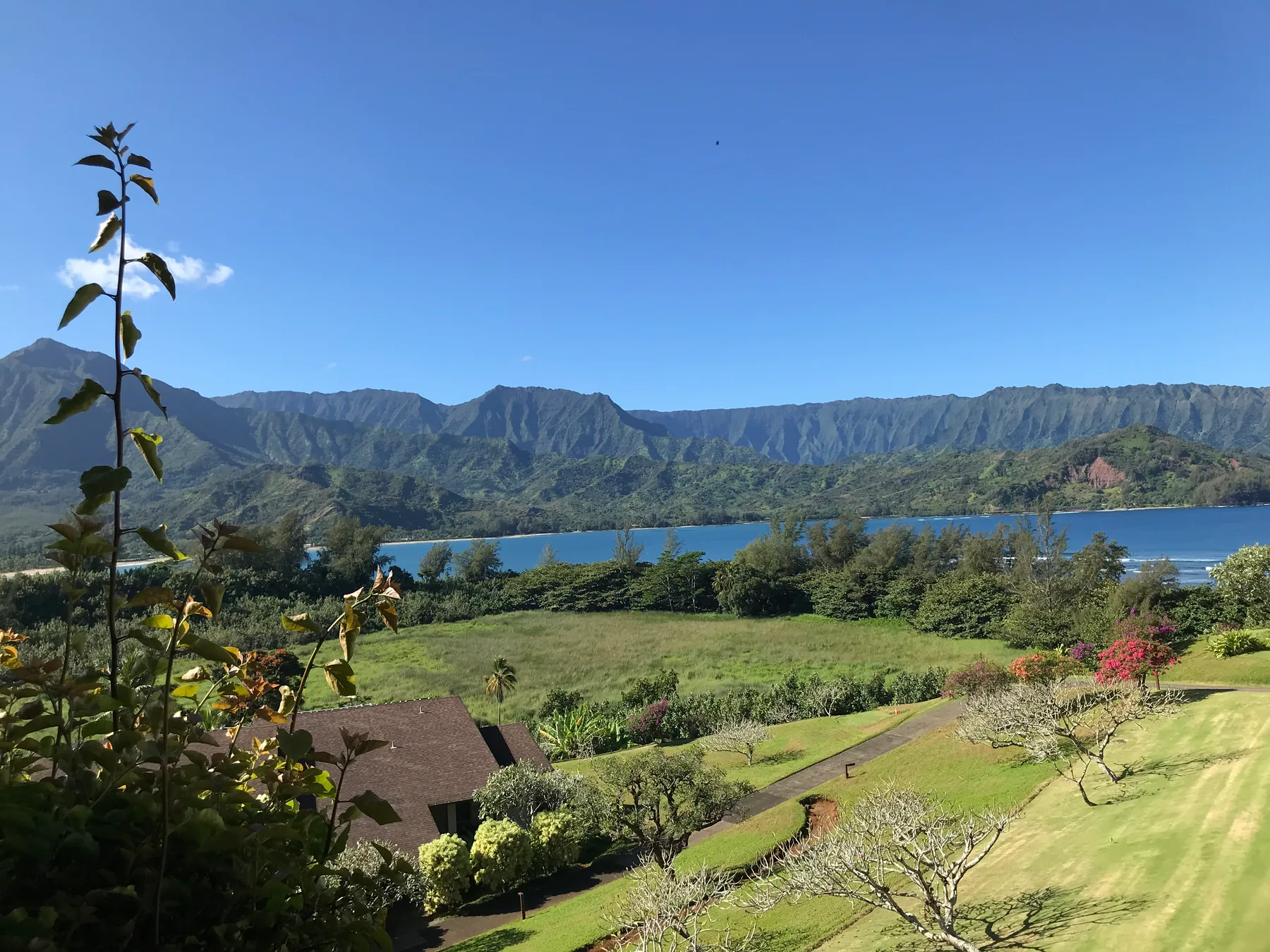 A green landscaped garden overlooks a lake and a mountain range under a clear sky.