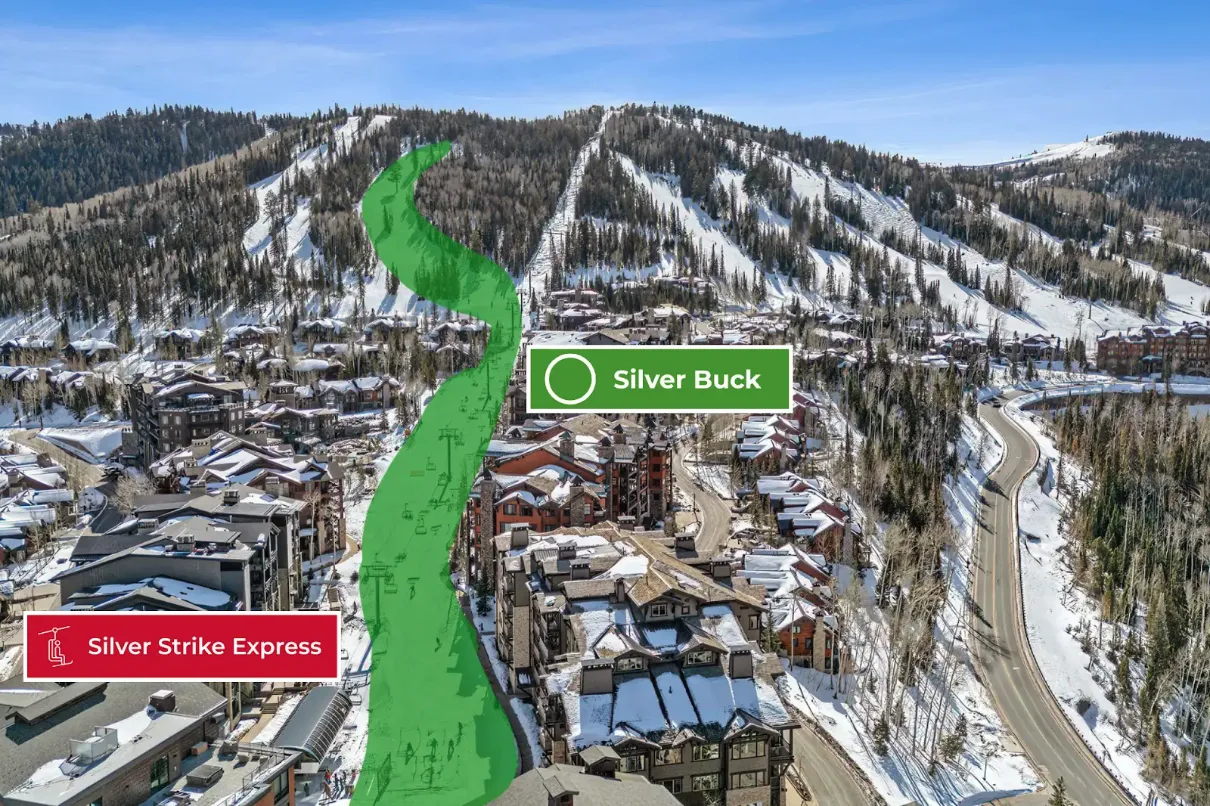 Aerial view of a snowy mountain ski resort with slopes and buildings.