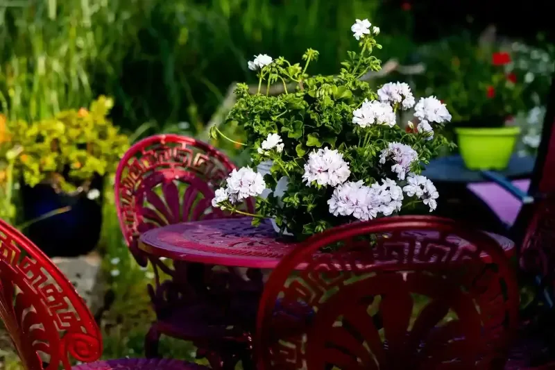 Resting area in the garden