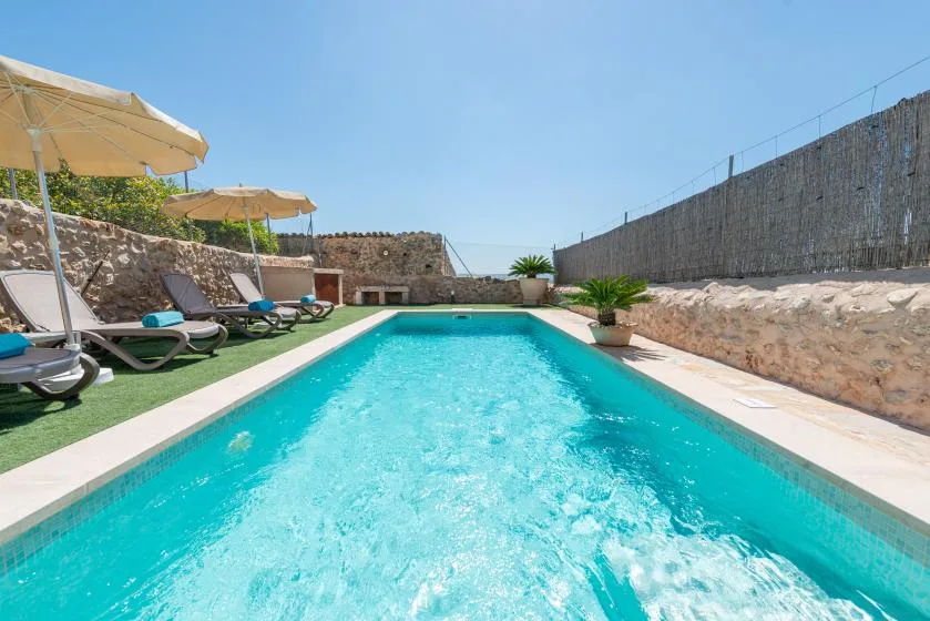A rectangular swimming pool is surrounded by loungers and umbrellas.