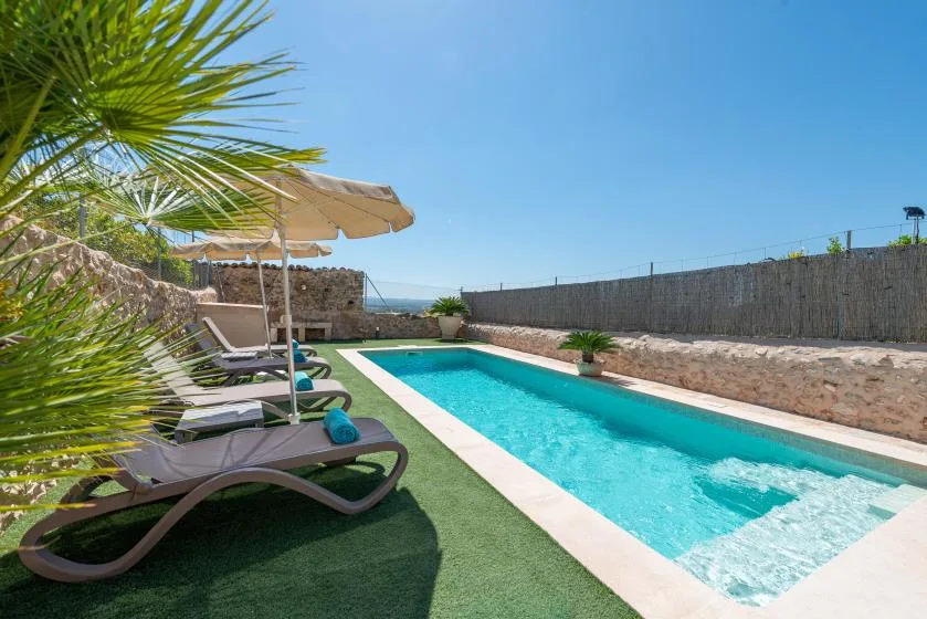 An outdoor swimming pool beside lounge seating and a shaded patio.