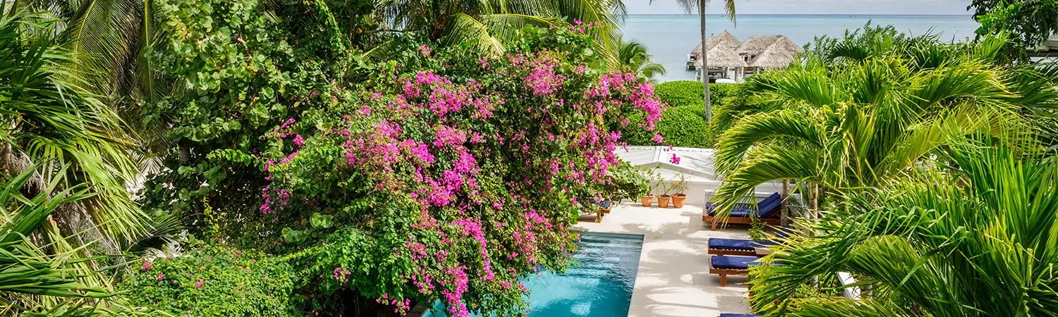 Vista a la piscina