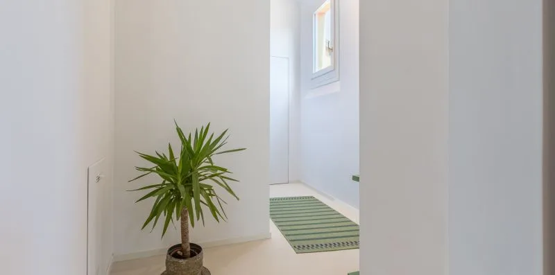 A bright hallway with a potted plant and a green striped rug.