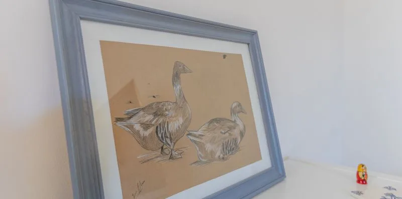 A framed illustration of two birds rests against a plain wall.