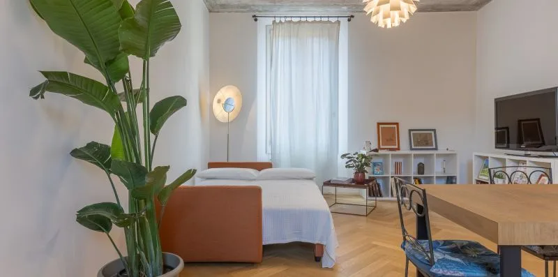 A bright bedroom with a bed, a large leafy plant, and a desk.