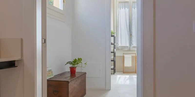 A bright hallway opens toward a room with a window and a potted plant.