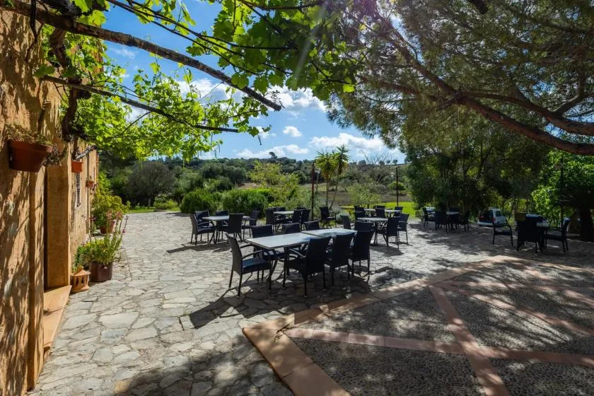 An outdoor dining terrace with tables and seating beneath leafy trees.