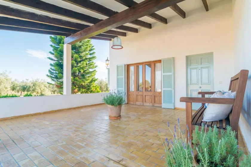 Un patio cubierto con suelo de baldosas, puertas de madera y una planta en maceta.