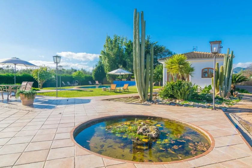 Un patio de baldosas rodea un pequeño estanque redondo, con un jardín y una casa al fondo.