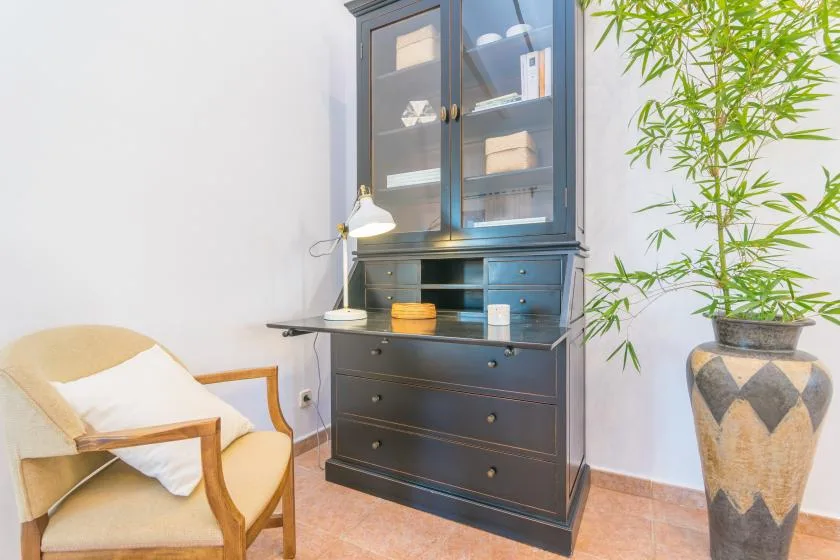 Una habitación amueblada con un mueble oscuro, un escritorio y una planta en maceta.