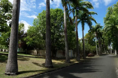 A tree-lined paved road runs beside a grassy area under a partly cloudy sky.