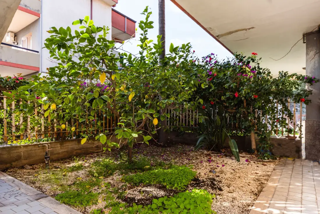 Un patio ajardinado con arbustos frondosos y un sendero pavimentado.