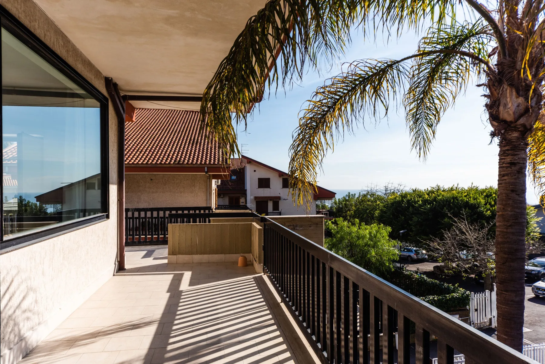 Un balcón soleado ofrece vistas de vegetación y edificios cercanos bajo una palmera.