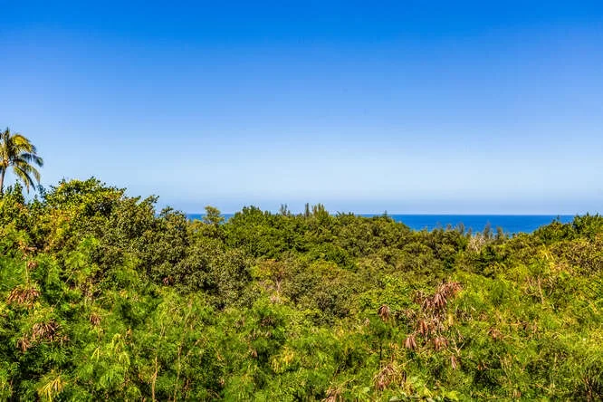 A dense green landscape stretches toward the blue ocean beneath a clear sky.