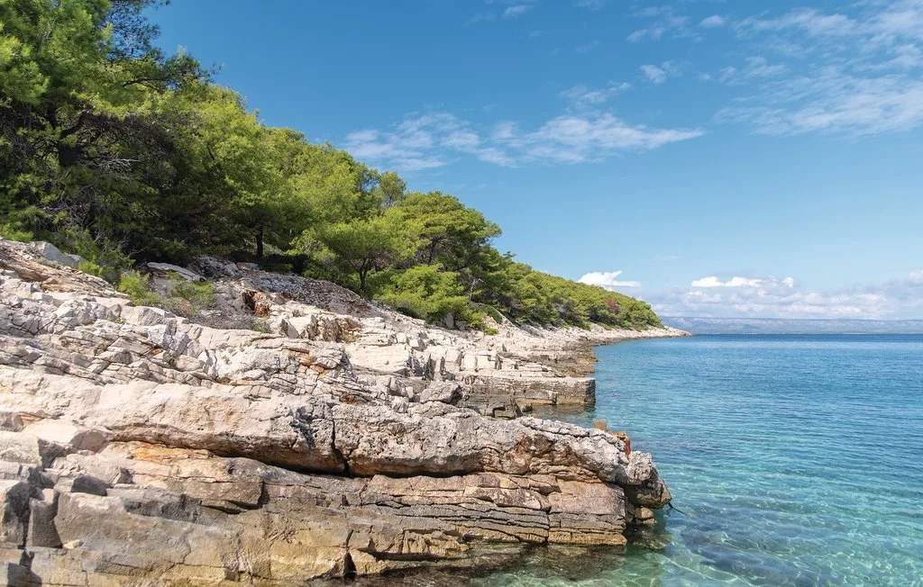 Una costa rocosa bordeada de árboles verdes se encuentra con aguas azules y claras.