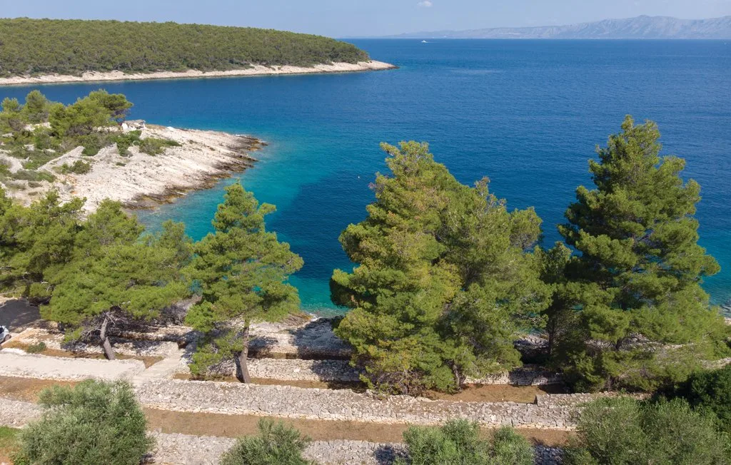 Un paisaje costero con pinos que miran hacia aguas azules y claras.
