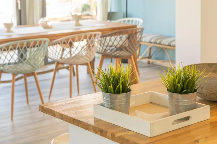 Comedor con asientos tejidos y plantas en macetas sobre una mesa de madera.