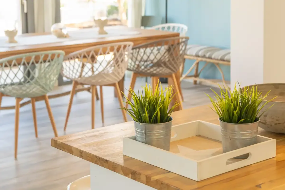 Comedor con asientos de tejido y plantas en macetas sobre una mesa de centro.