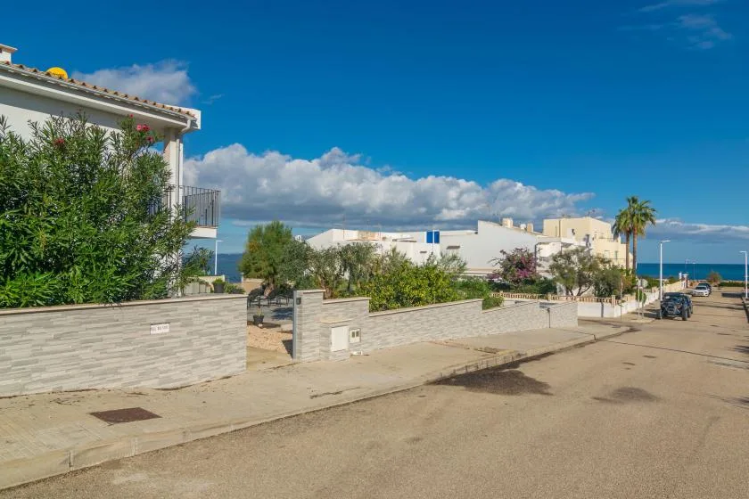 Una calle costera soleada con muros bajos, árboles y edificios bajo un cielo azul.