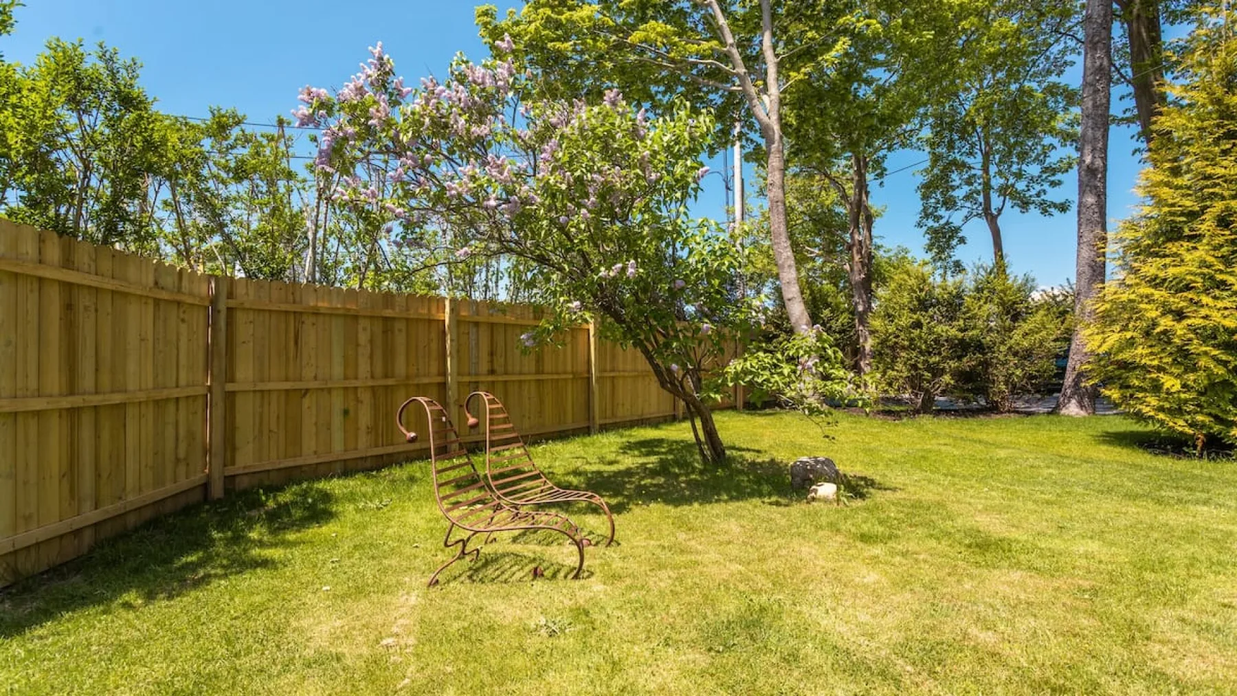 A sunny grassy yard with a wooden fence, trees, and a metal bench.