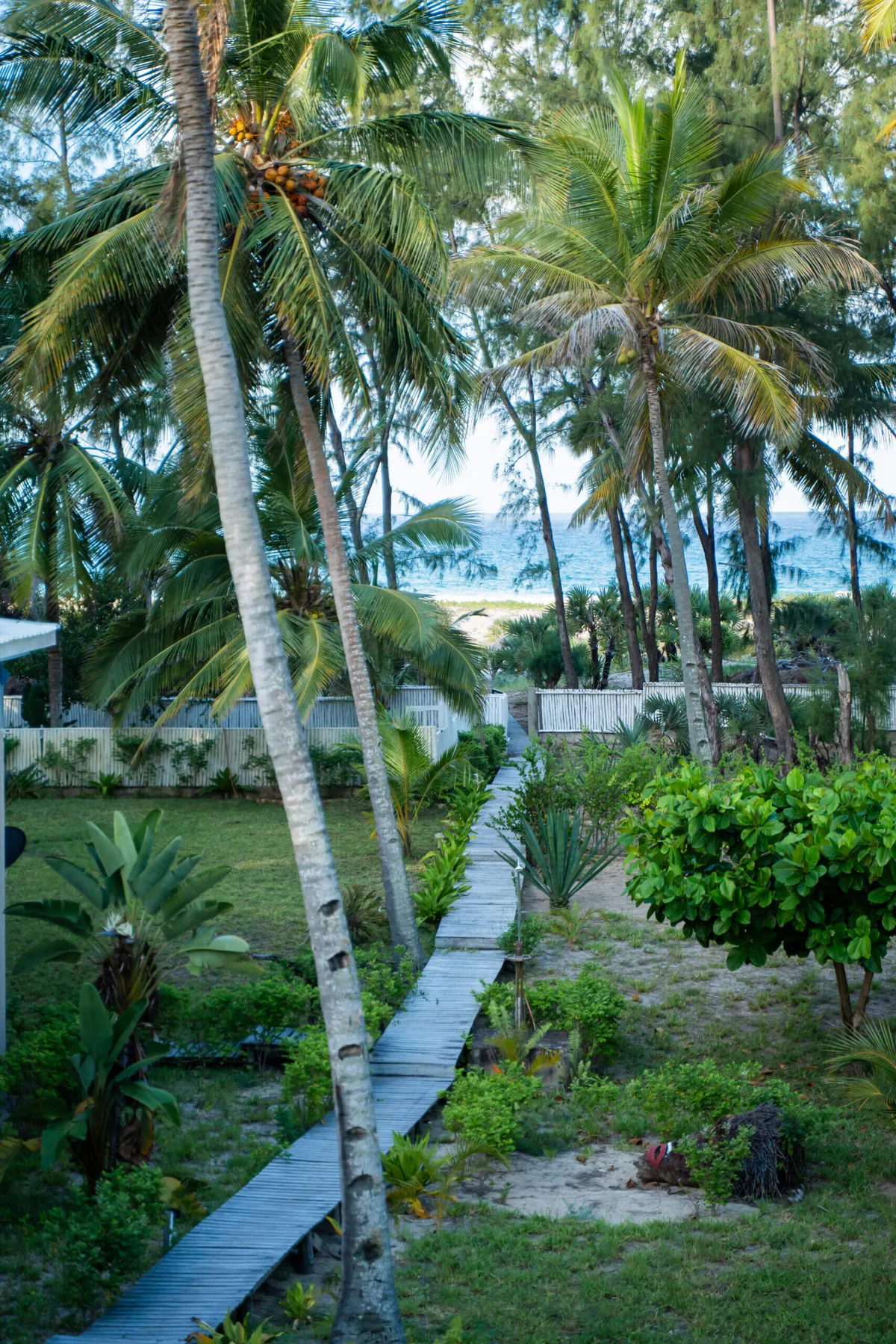 Aerial view of the property