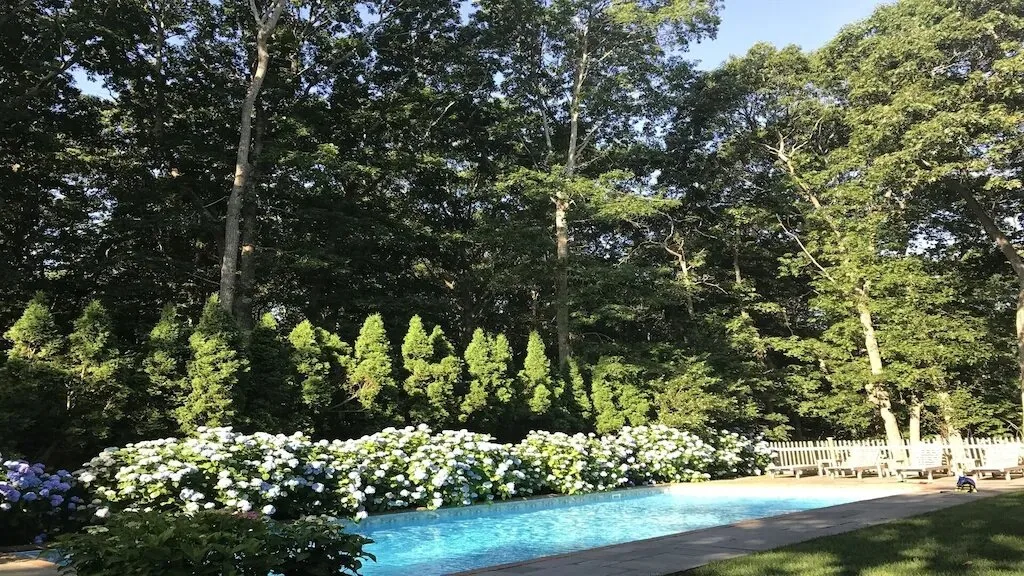 An outdoor swimming pool bordered by flowering shrubs and tall trees.