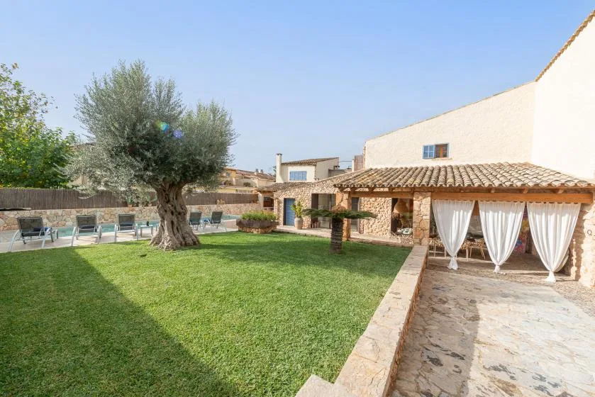 Un patio con césped, un árbol grande y una terraza cubierta.