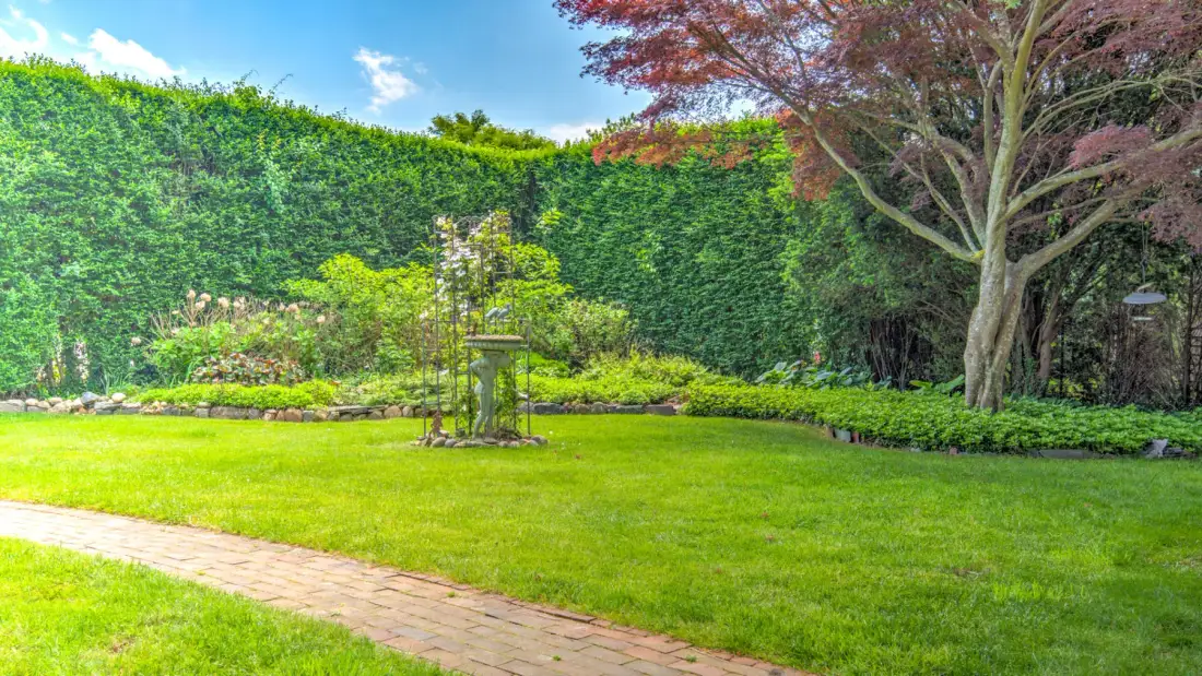 A green garden lawn bordered by tall hedges and mature trees.