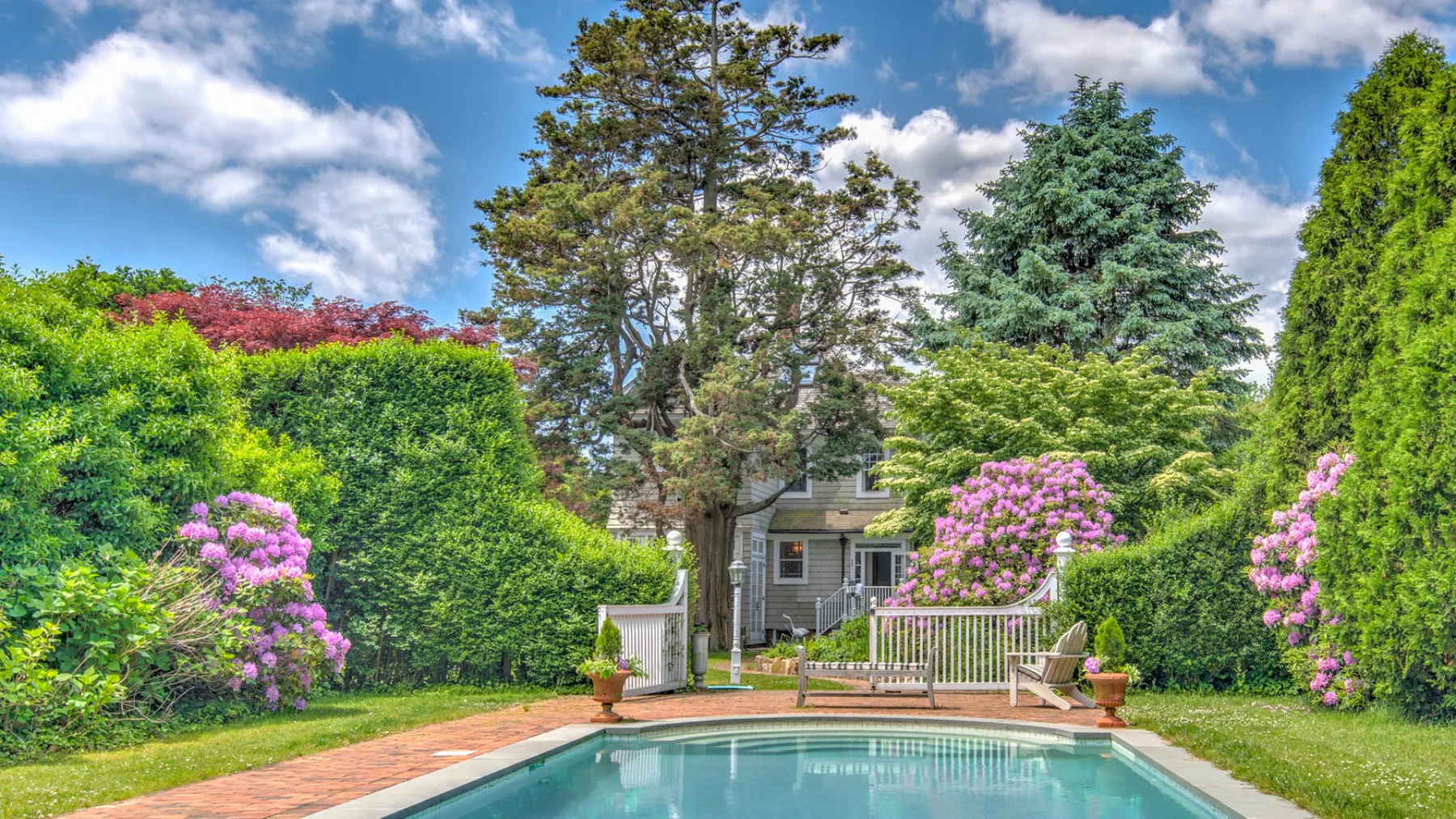 An outdoor swimming pool sits beside a wooden deck, flowering shrubs, and tall trees.
