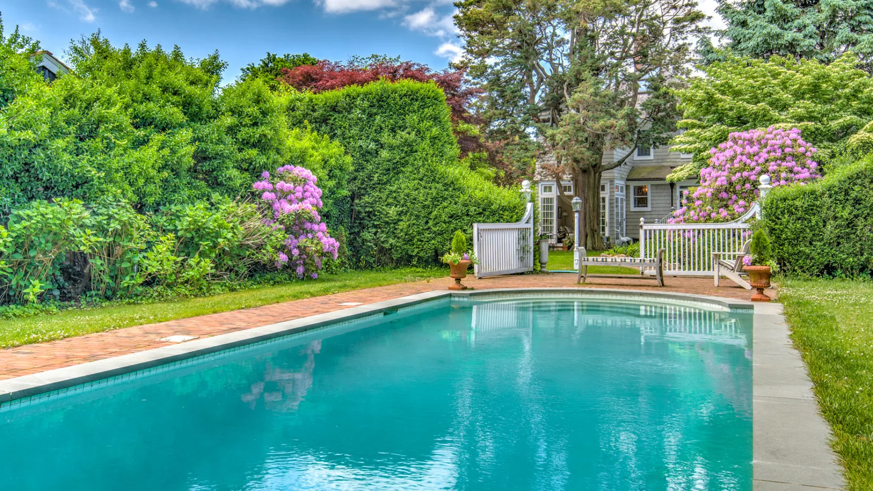 An outdoor swimming pool is bordered by greenery and flowering shrubs.