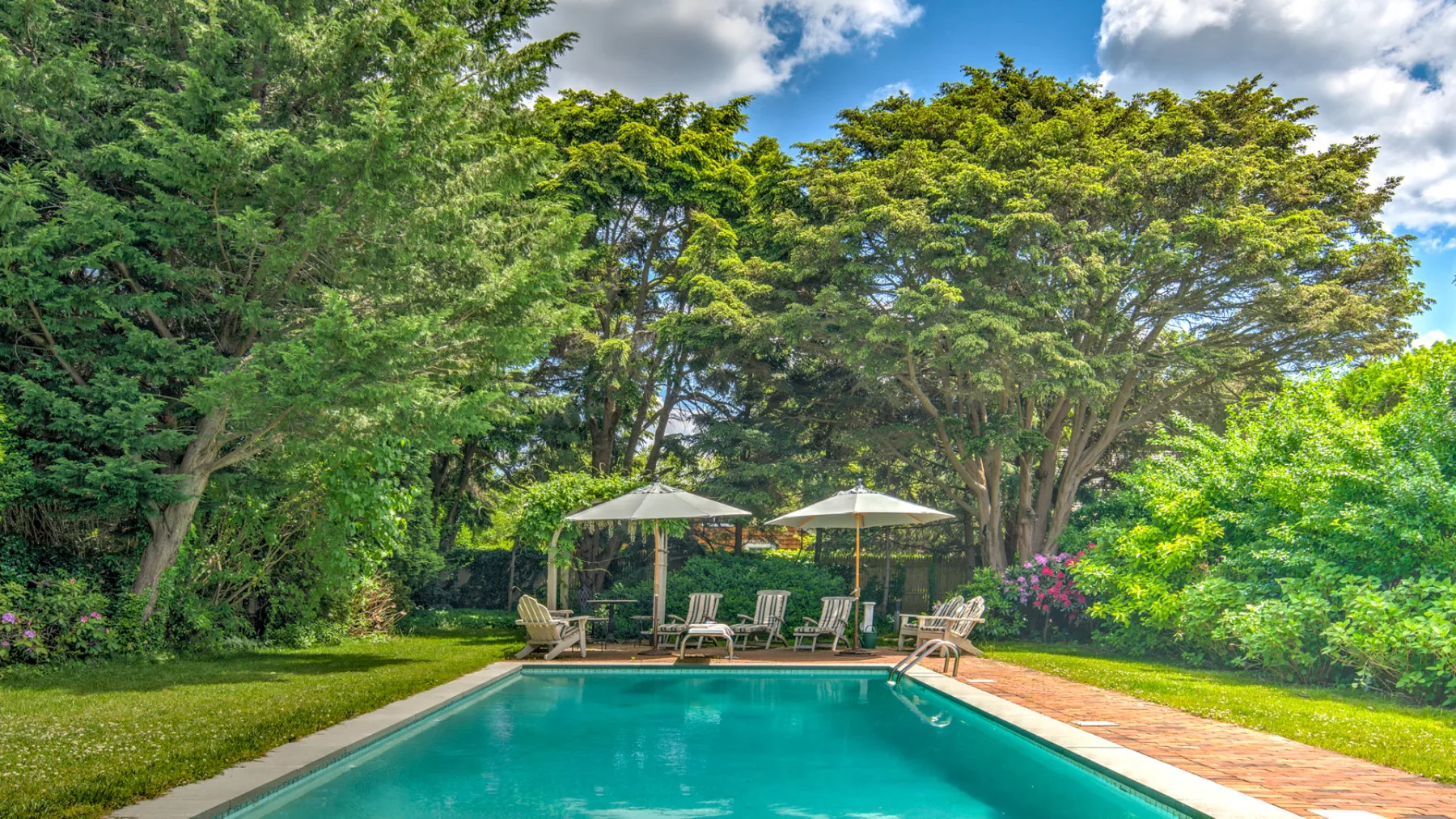 An outdoor swimming pool sits among leafy trees and lounge seating.