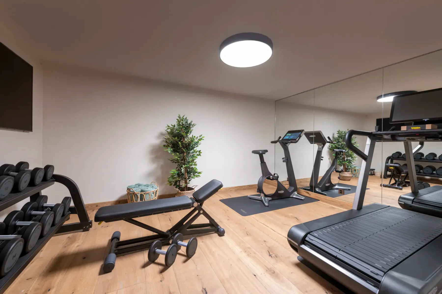 Home gym with wooden floor, featuring a treadmill, stationary bike, adjustable bench, dumbbells on a rack, and a large wall mirror. Plants decorate the room.