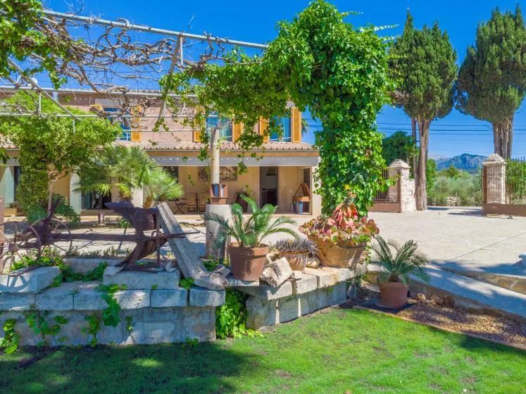 Un patio ajardinado y soleado con plantas en macetas y una pérgola cubierta de enredaderas junto a una casa.