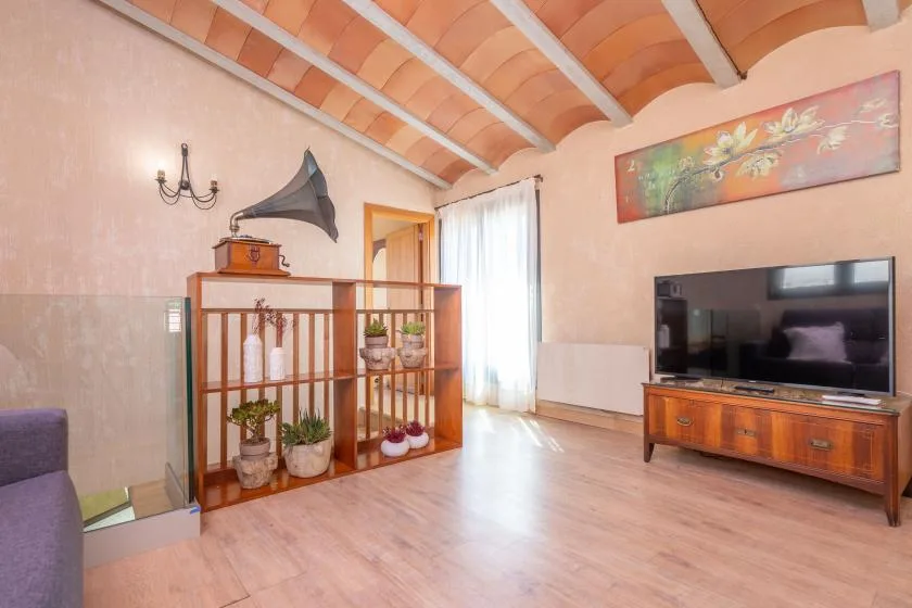 Una sala de estar con un televisor sobre un mueble de madera y plantas en un separador.