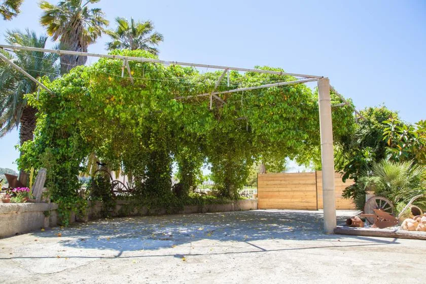 Un patio al aire libre bajo una pérgola frondosa, con una cerca de madera y plantas alrededor.