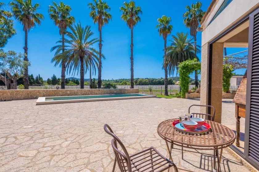 Un patio soleado de piedra con una piscina estrecha, palmeras y asientos al aire libre.