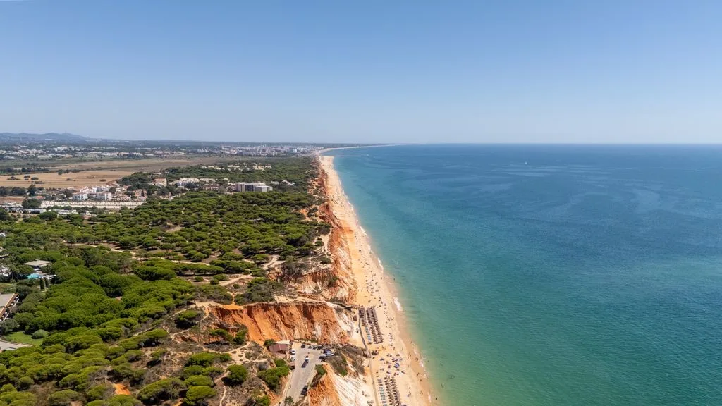 Aerial view of a sandy coastline, with cliffs, beach, and ocean.