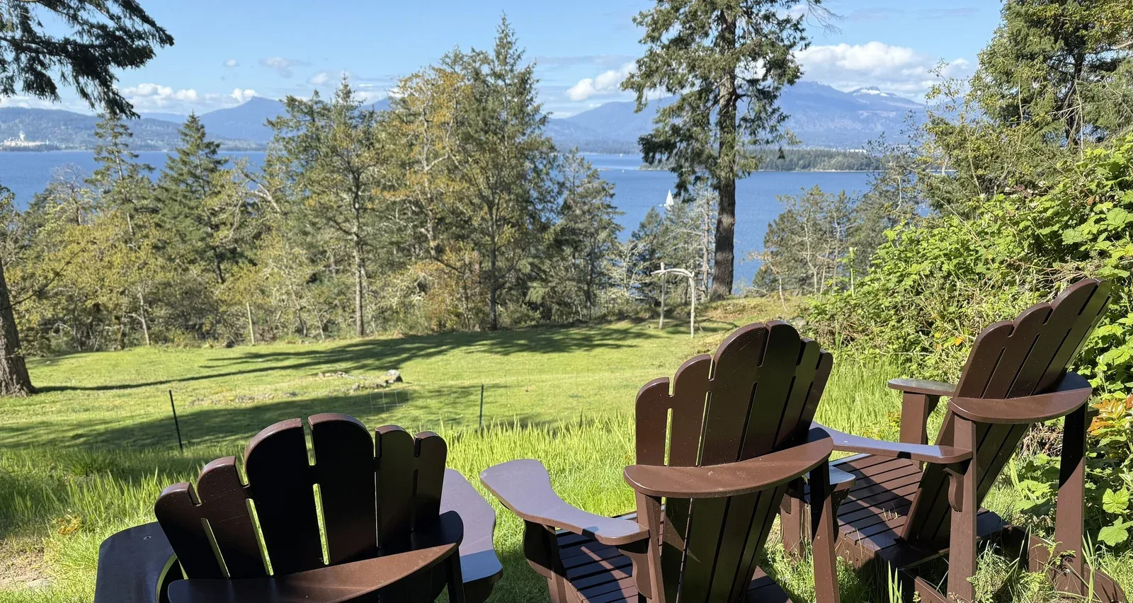 Vista desde las sillas Adirondack en Quarrystone House