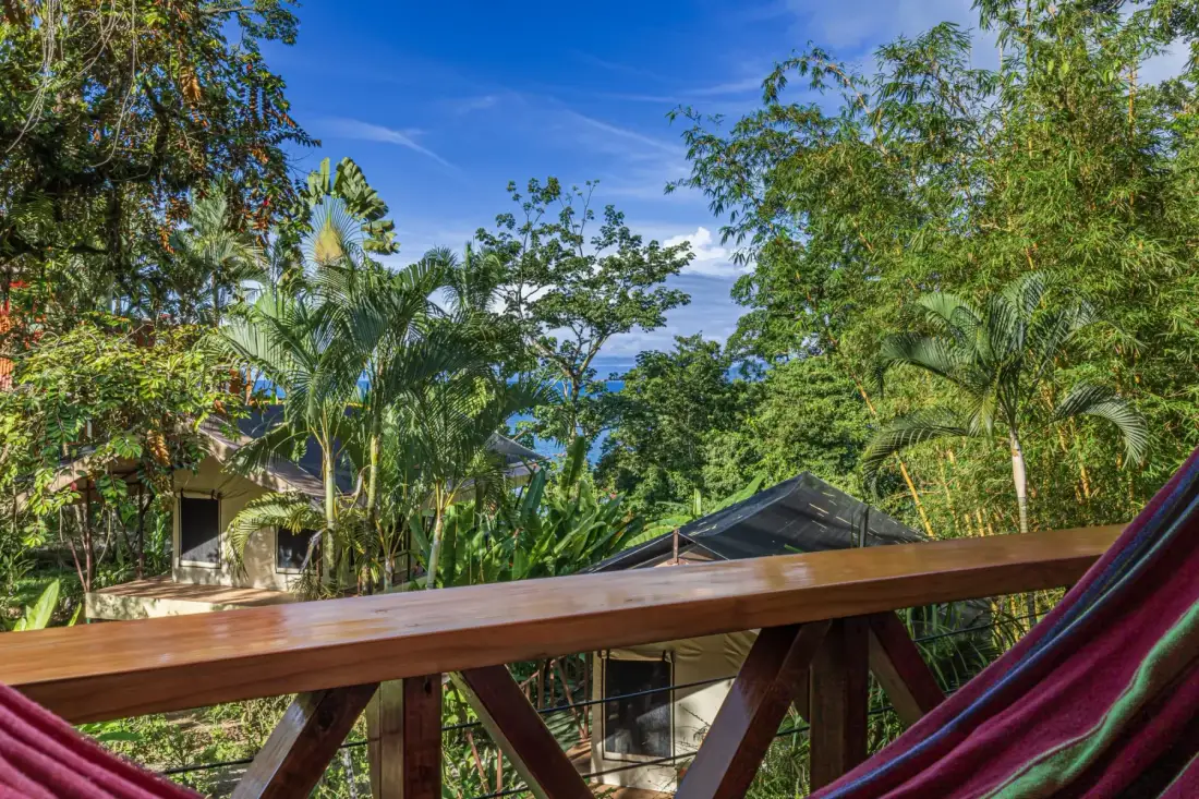 Mariposa Room: view from the porch