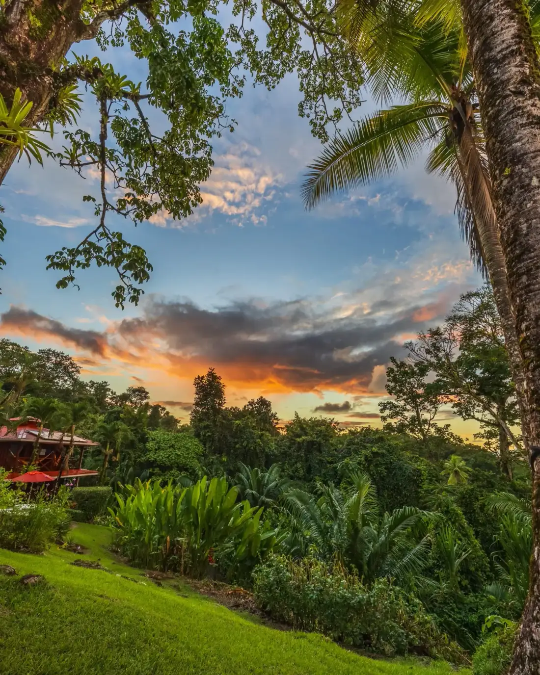 Sunset over the sea seen from the garden, framed by trees