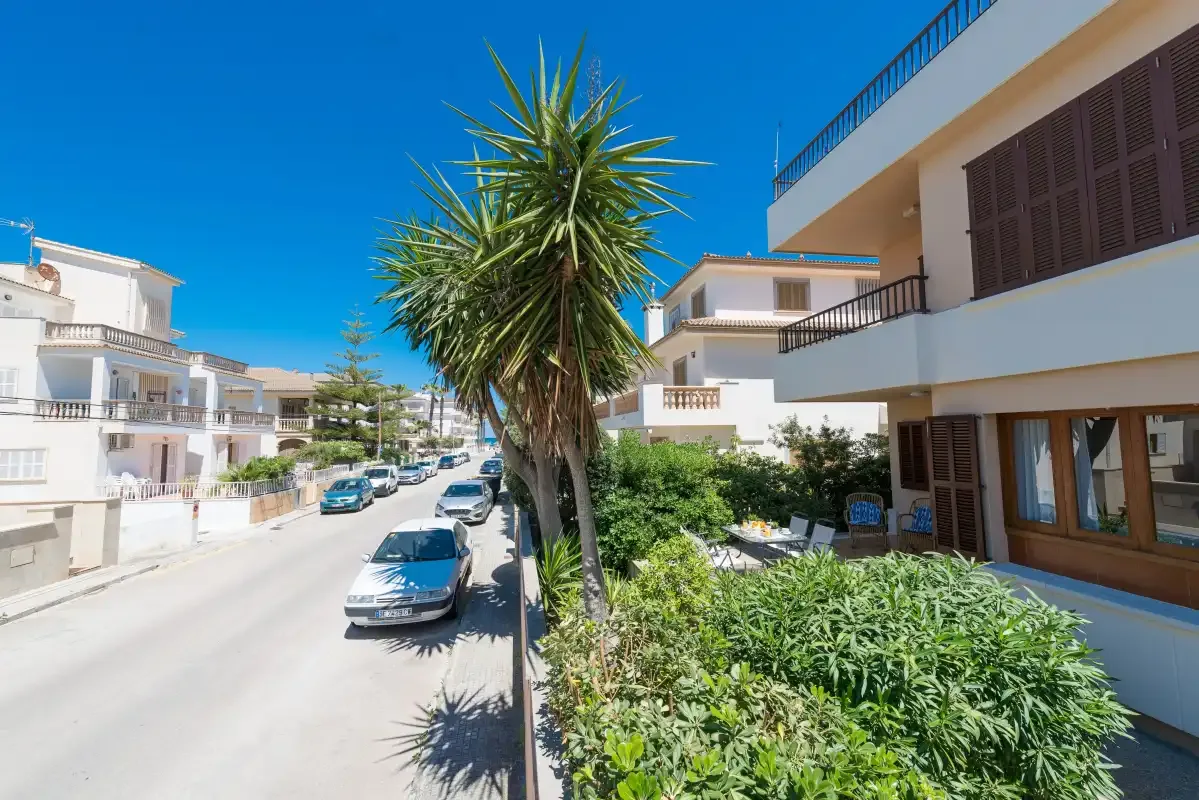 Una calle residencial soleada con coches estacionados y un árbol frondoso junto a los edificios.