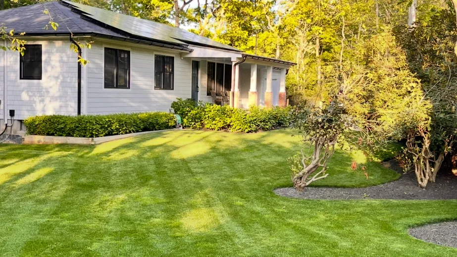 A white house stands beside a green lawn and landscaped shrubs.