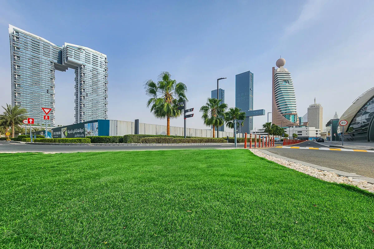 A city skyline rises beyond a green lawn, with palm trees along the road.