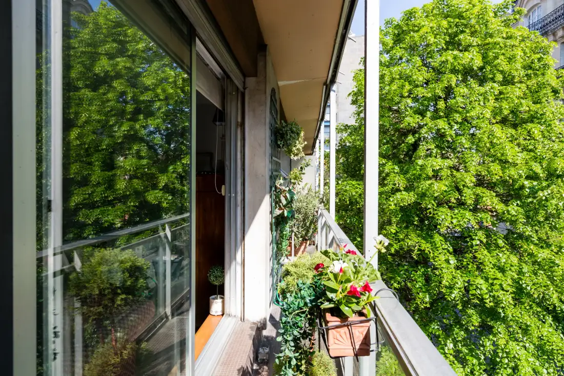 Un balcón con plantas en macetas da a árboles frondosos.