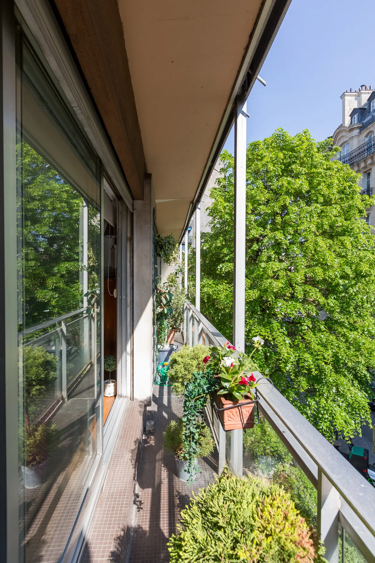 A narrow balcony with potted plants overlooks leafy trees and nearby buildings.