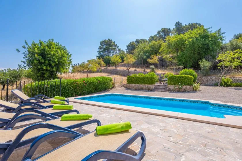 Una piscina al aire libre junto a una terraza pavimentada con asientos y vegetación.