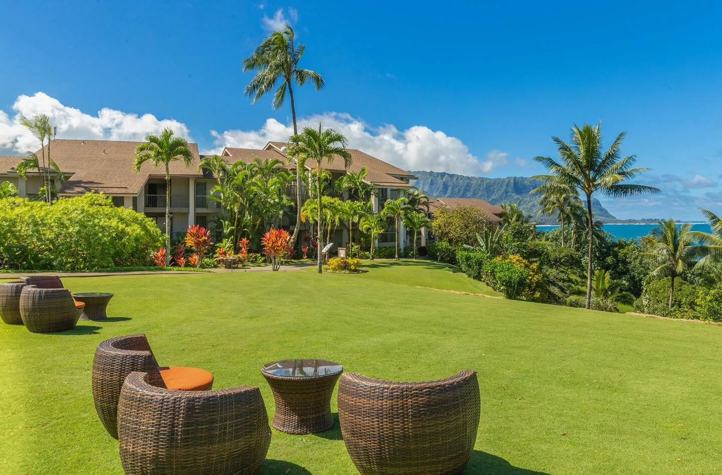 Un jardín con césped, asientos al aire libre, palmeras y vistas al mar.