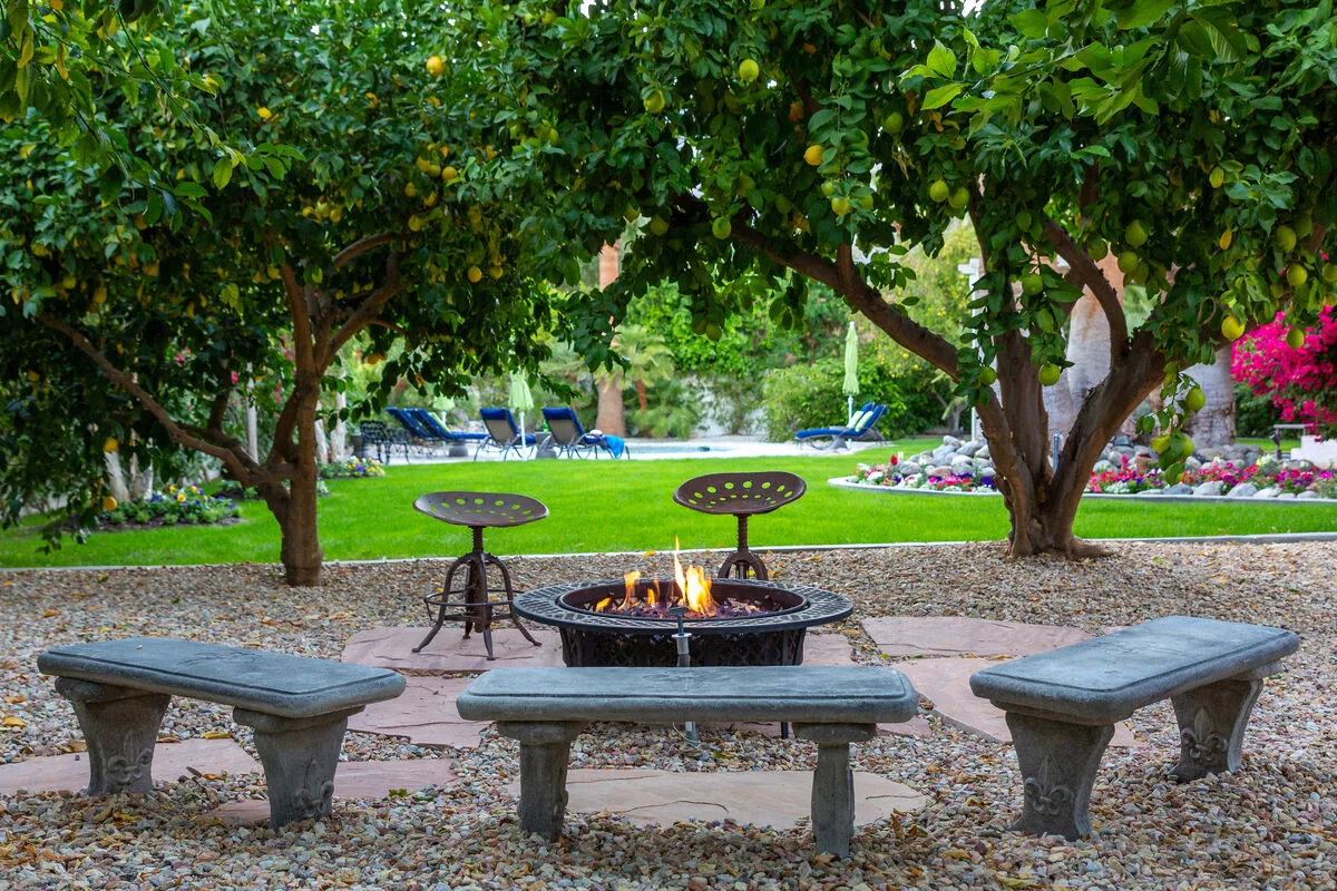 Ruth Hardy Park Oasis