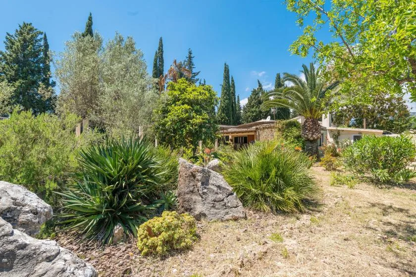 Un jardín con rocas, arbustos y una casa al fondo.
